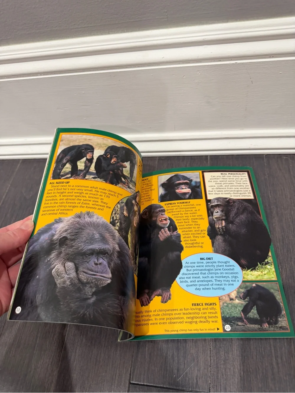 VINTAGE 1997 Eyes on Nature: Apes and Monkeys Softcover Book for Kids